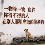 卑微狗推。在线求助！-博彩彩金-博彩社区-博彩论坛