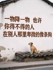 卑微狗推。在线求助！-博彩推广-博彩社区-博彩论坛